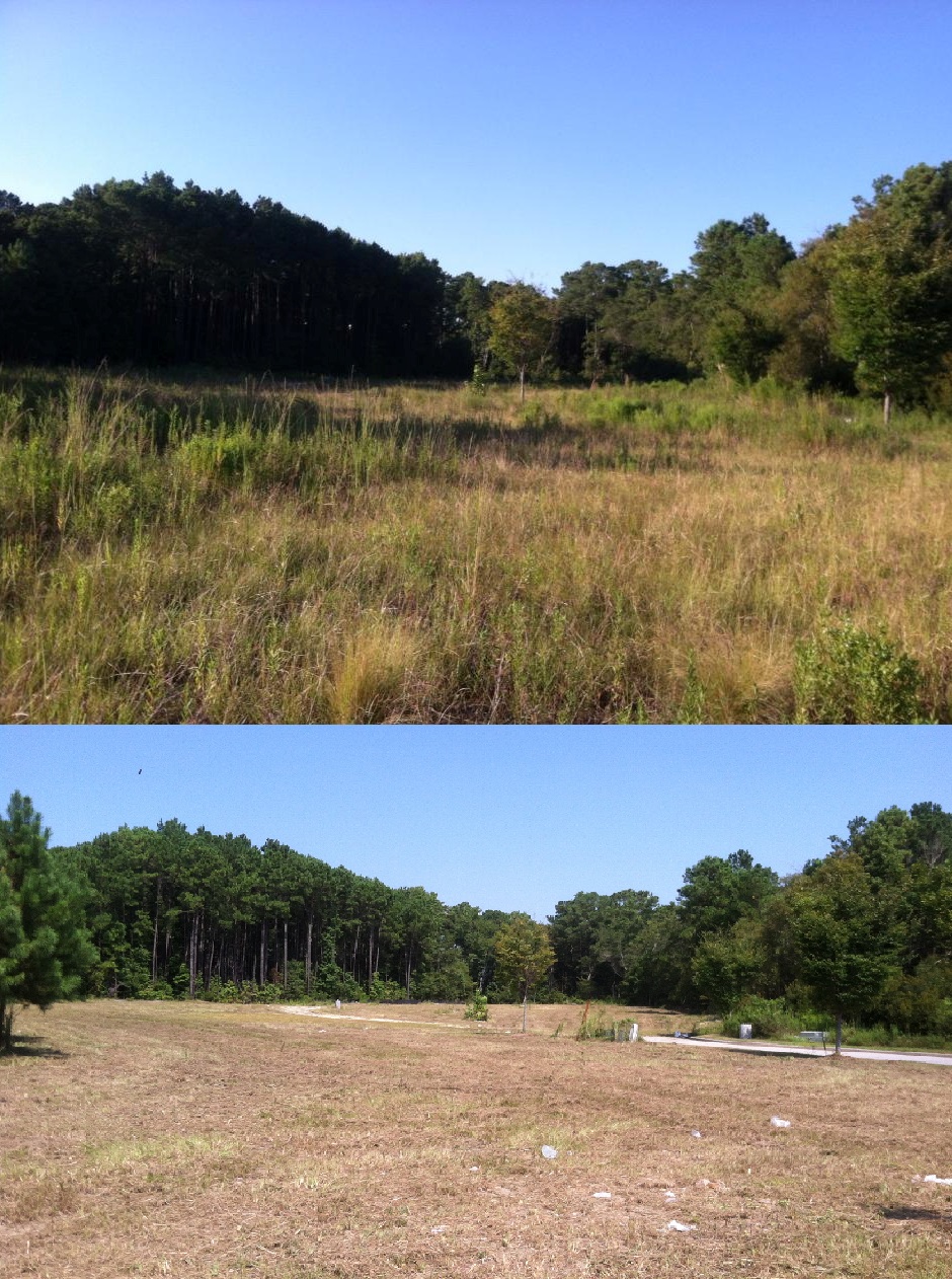Brush cutting in Lowes Plaza Little River, SC 29566