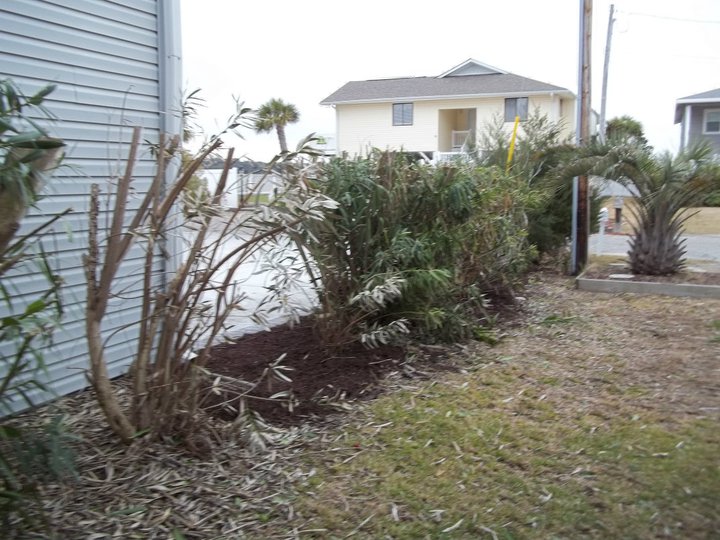 Clean up Cherry Grove