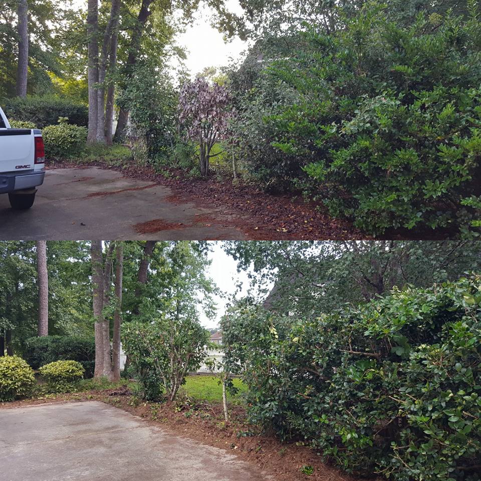 Clean up in Little River, SC 29566