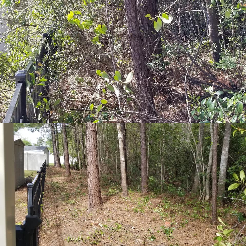Clean up trees off fence in Little River,SC 29566