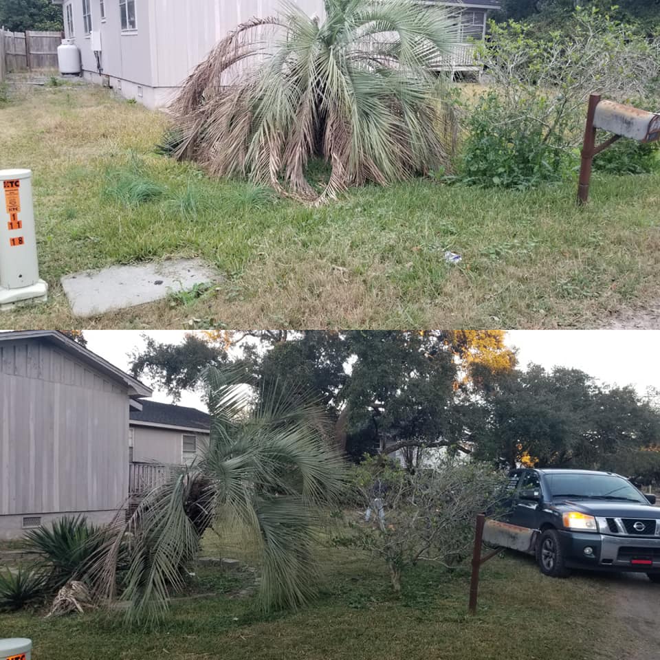 Remove 2 trees, trim shrubs, mulch leaves, mow and more Murrells Inlet,SC