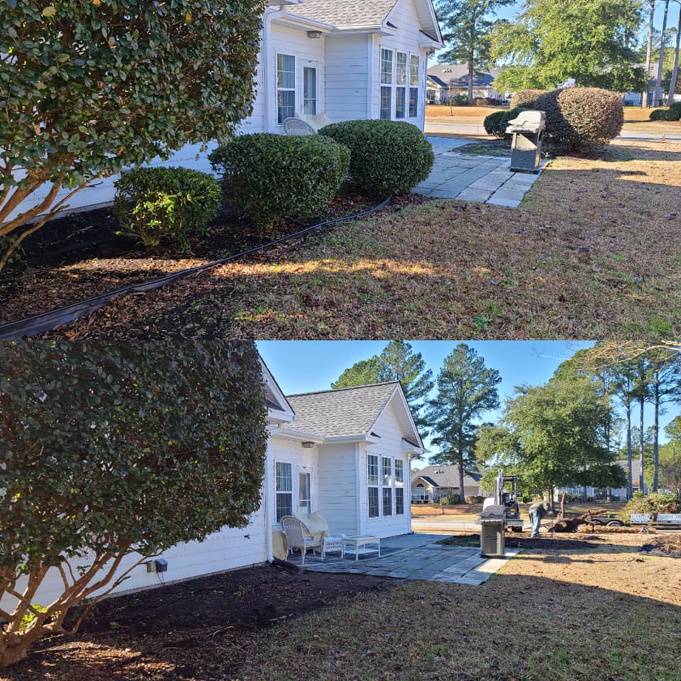 Remove shrubs and stump for fence in Carolina Forest,SC 29579