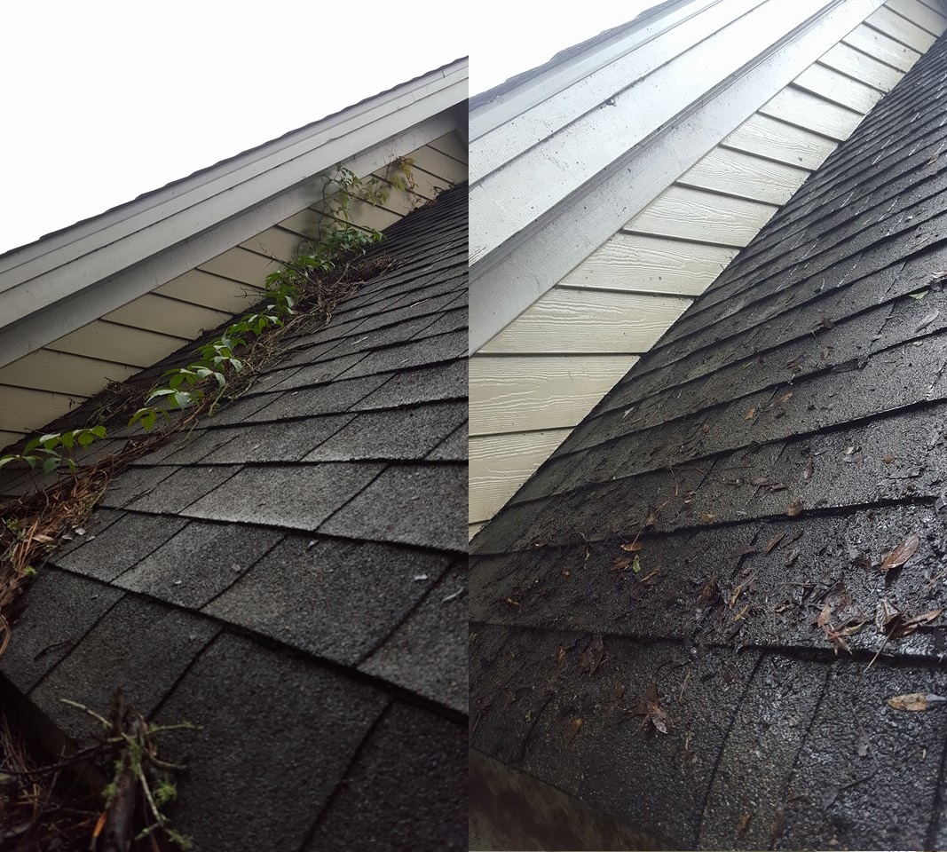 Gutter cleaning two story North Myrtle Beach