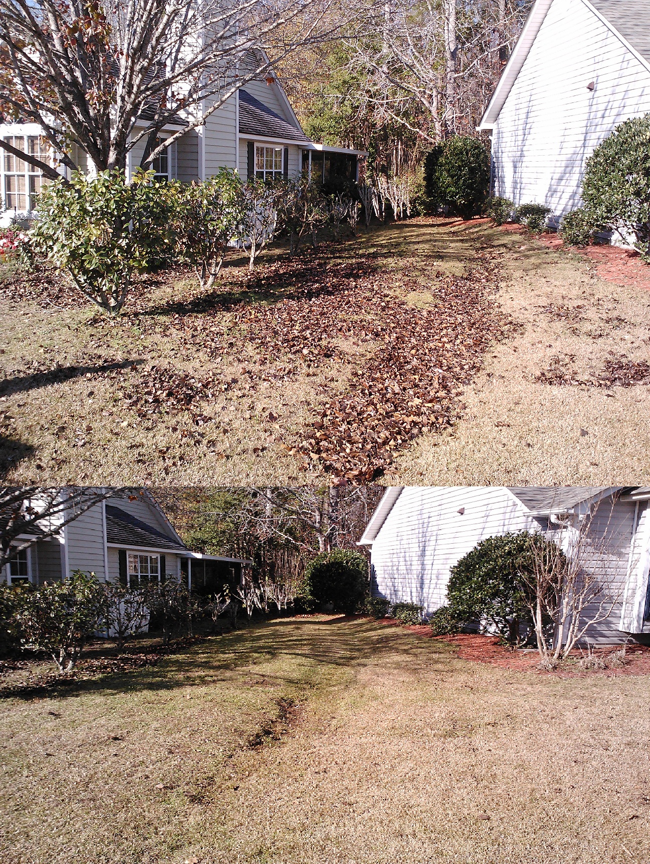 Leaf clean up in Little River,SC 29566