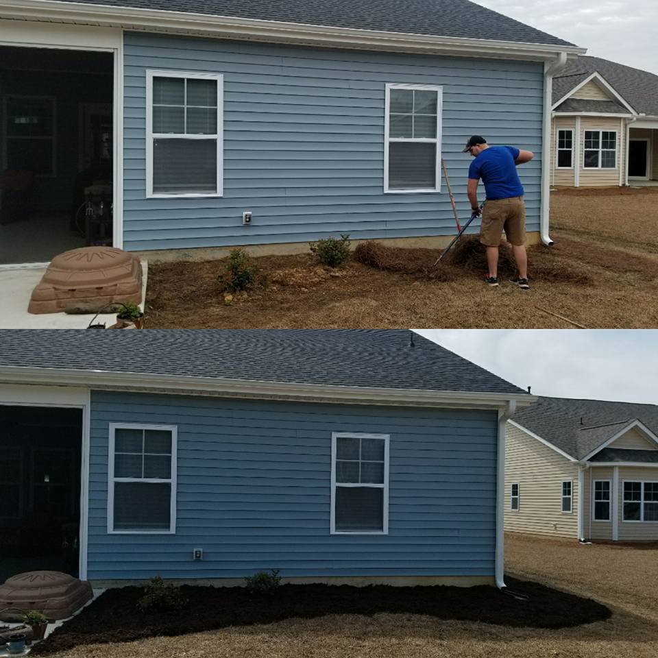 Pine Straw removal and mulch installation in Little River, SC 29566