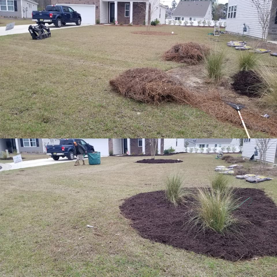 Removed Pine Straw and installed mulch in Little River, SC 29566