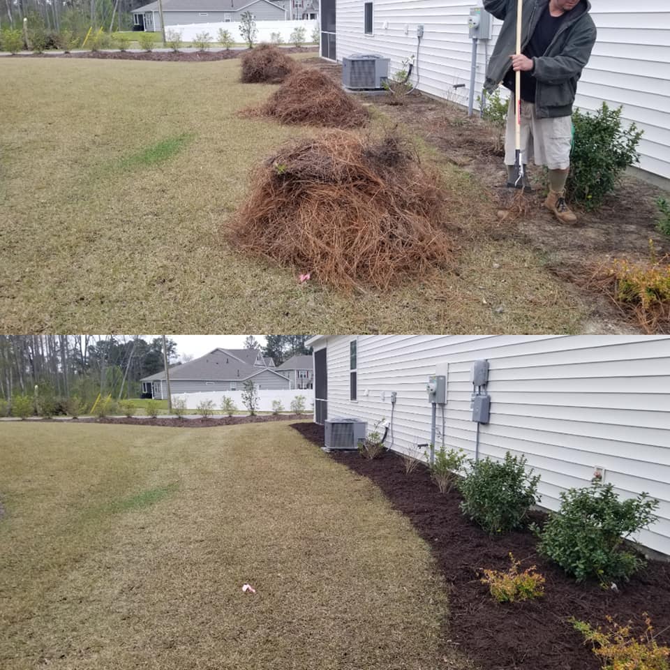 Removed Pine Straw and installed mulch in Little River, SC 29566