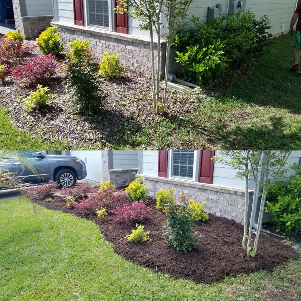 Top dressed mulch in Market Commons Myrtle Beach, SC 29577