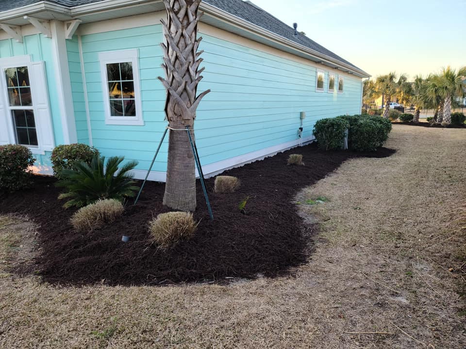 Top dress mulch, and trim grasses in North Myrtle Beach,SC 29582