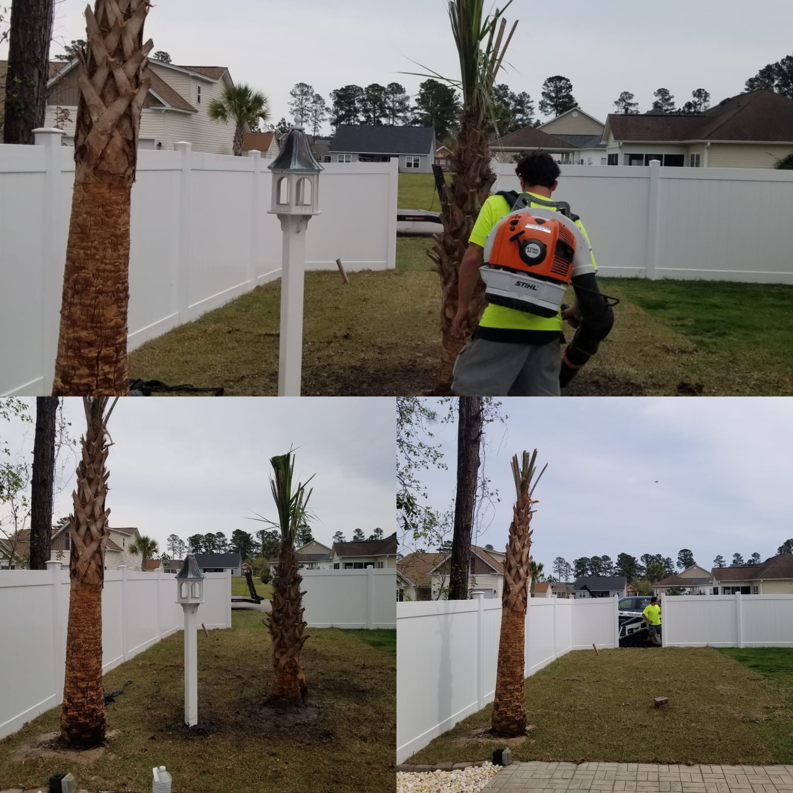 Installed 1 Sago palm then she wanted a second one in Longs, SC 29568