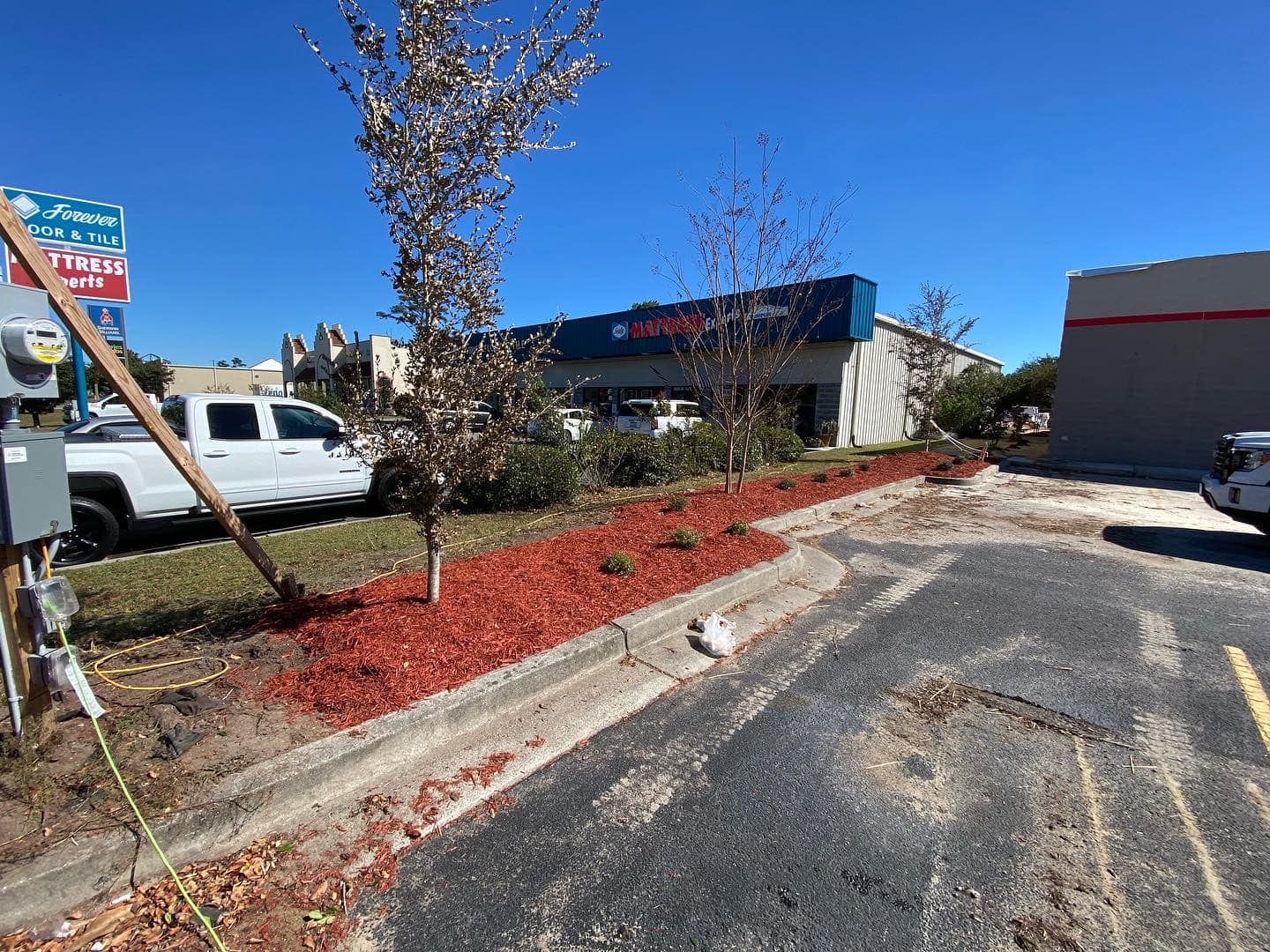 Installed 100 trees and 70 shrubs in North Myrtle Beach, SC 29582