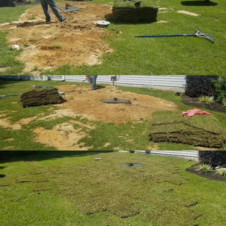 Removed shrubs, installed sod Conway, SC