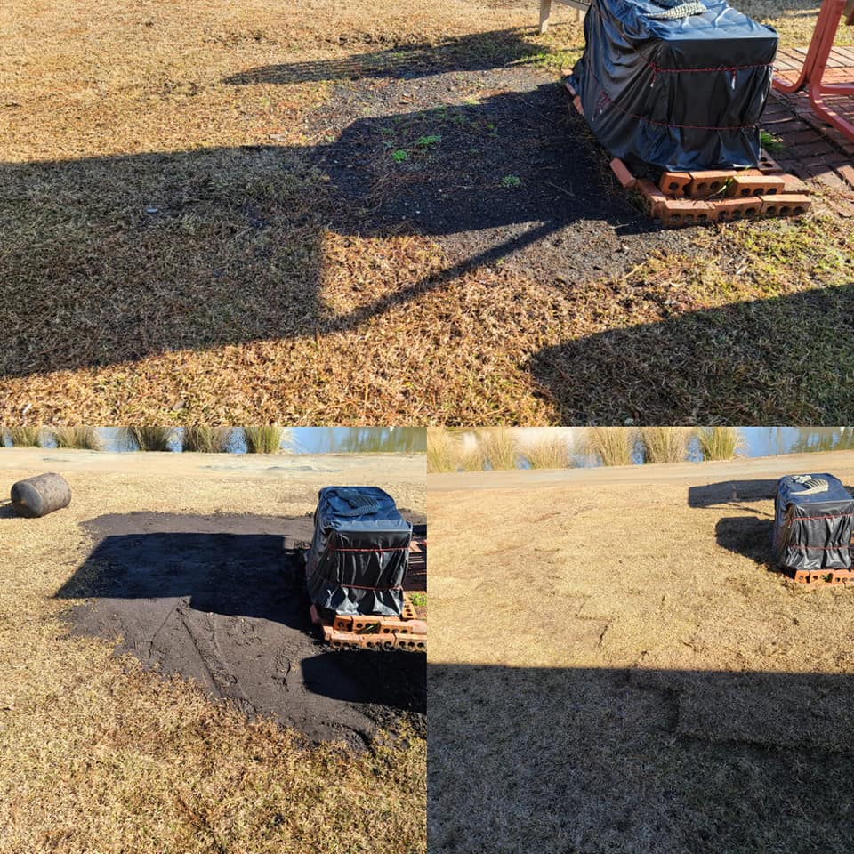 Installed top soil and sod in Longs,SC 29568
