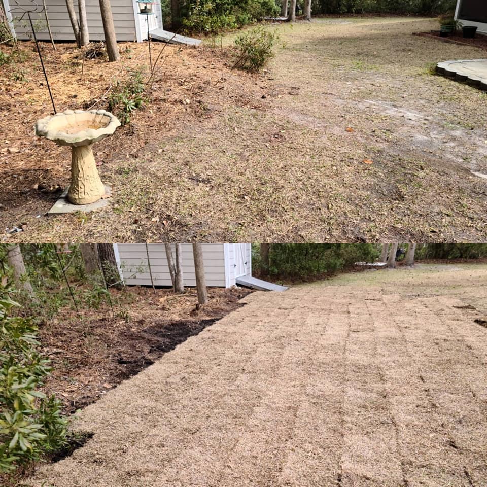 Removed some wooded area and installed sod in Little River,SC
