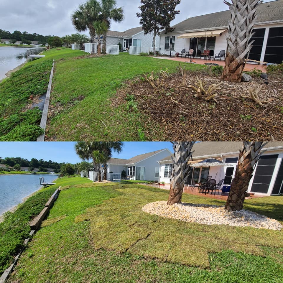 Removed trees, shrubs and installed beds with rock and sod Little River, SC 29566