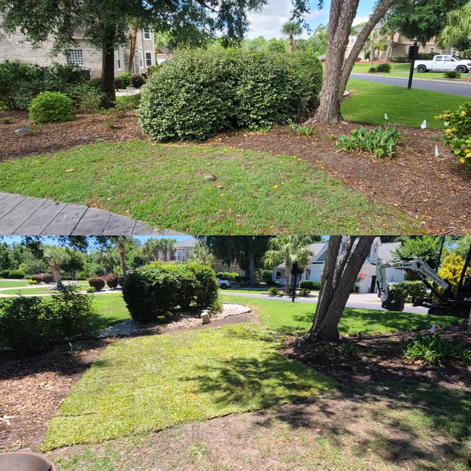 Removed shrubs and installed sod in Little River, SC 29566