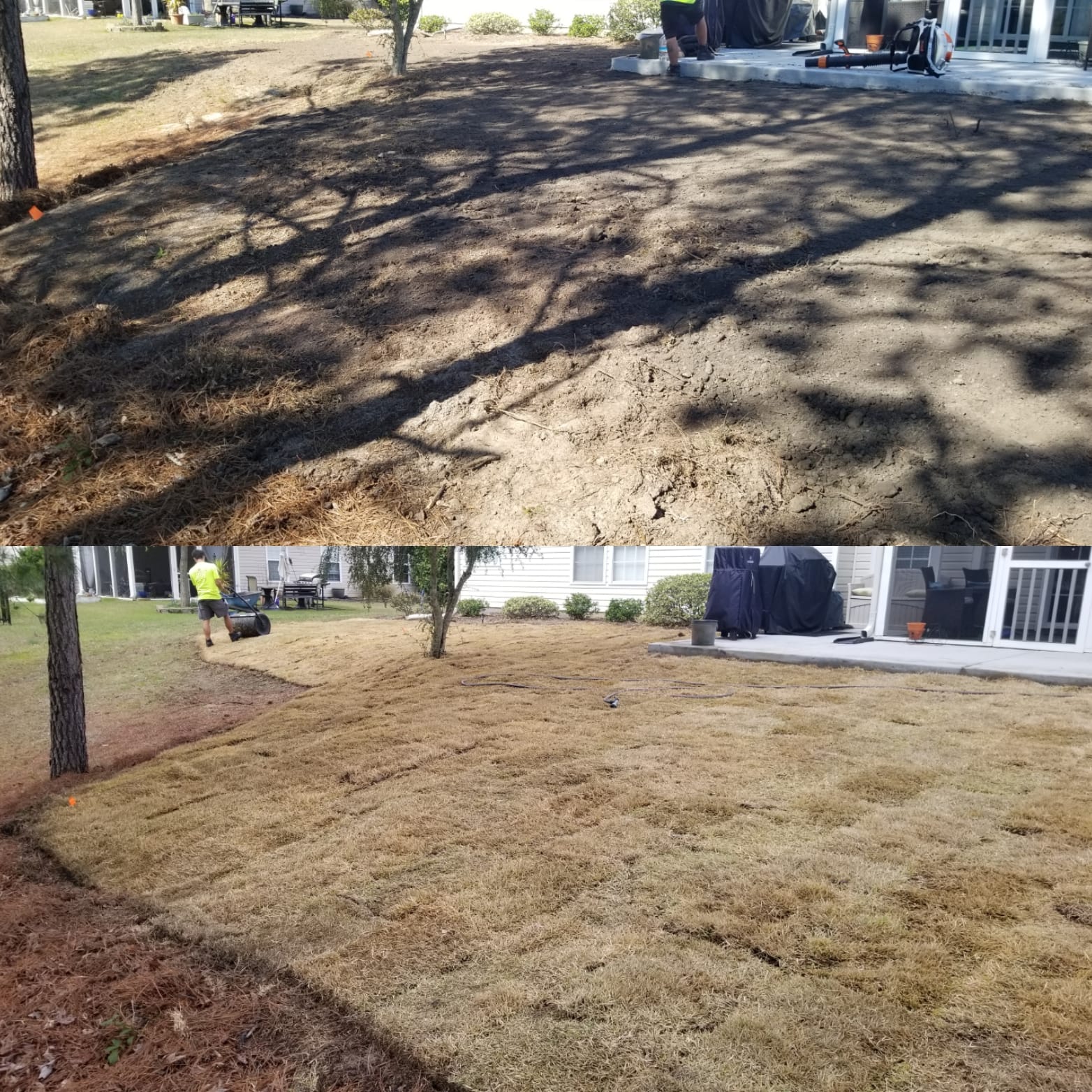 removed centiped, brought in top soil and installed wide blade Zoysia