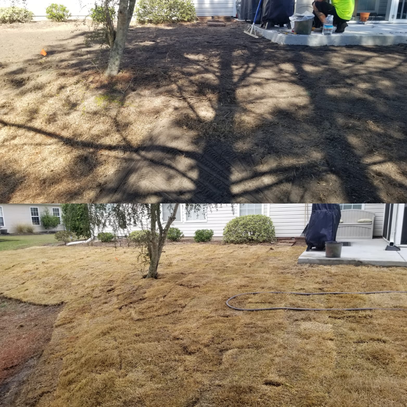 removed centiped, brought in top soil and installed wide blade Zoysia