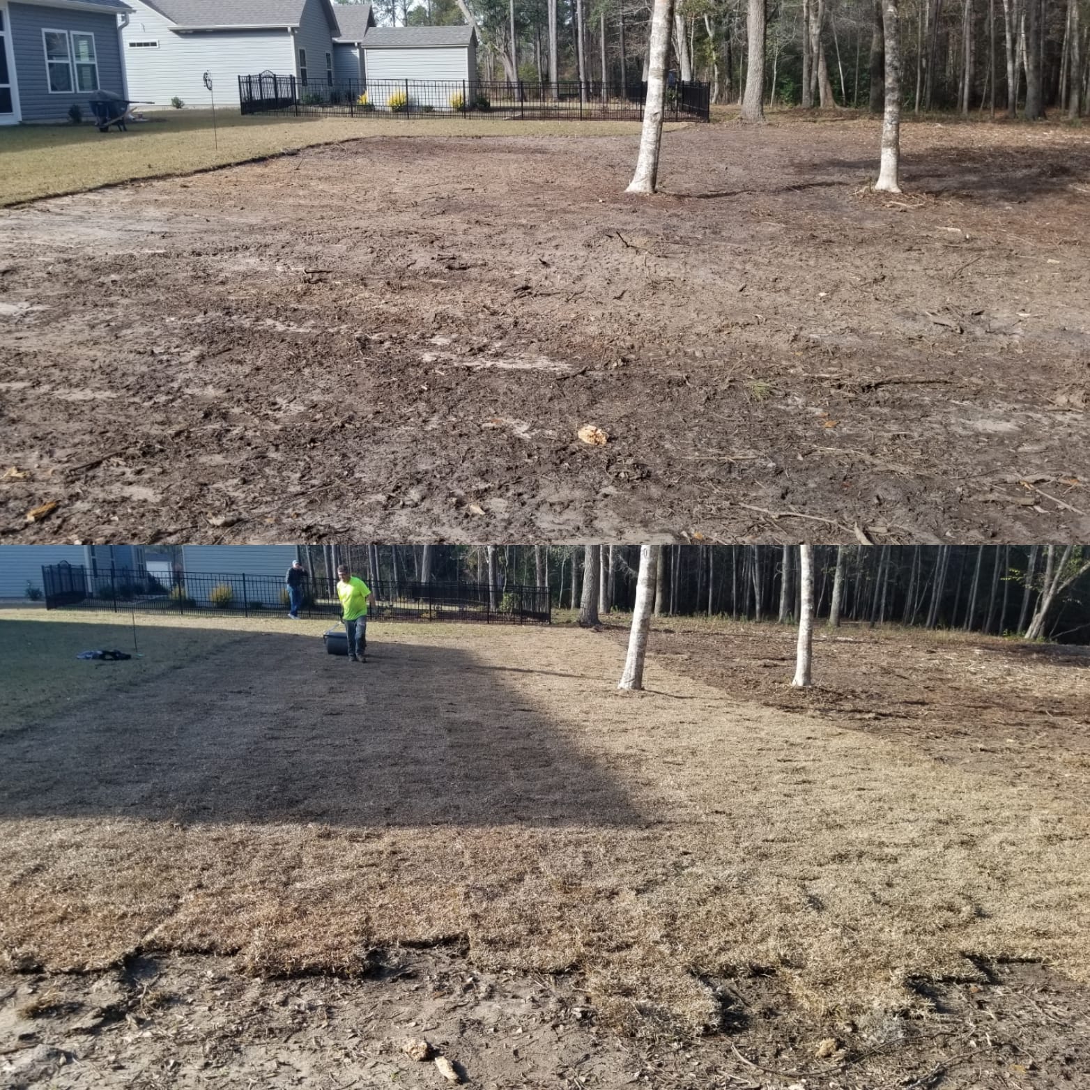 Prepped ground and installed sod in Longs, SC 29568