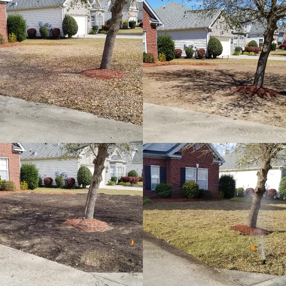 Remove old grass and install new sod in front yard