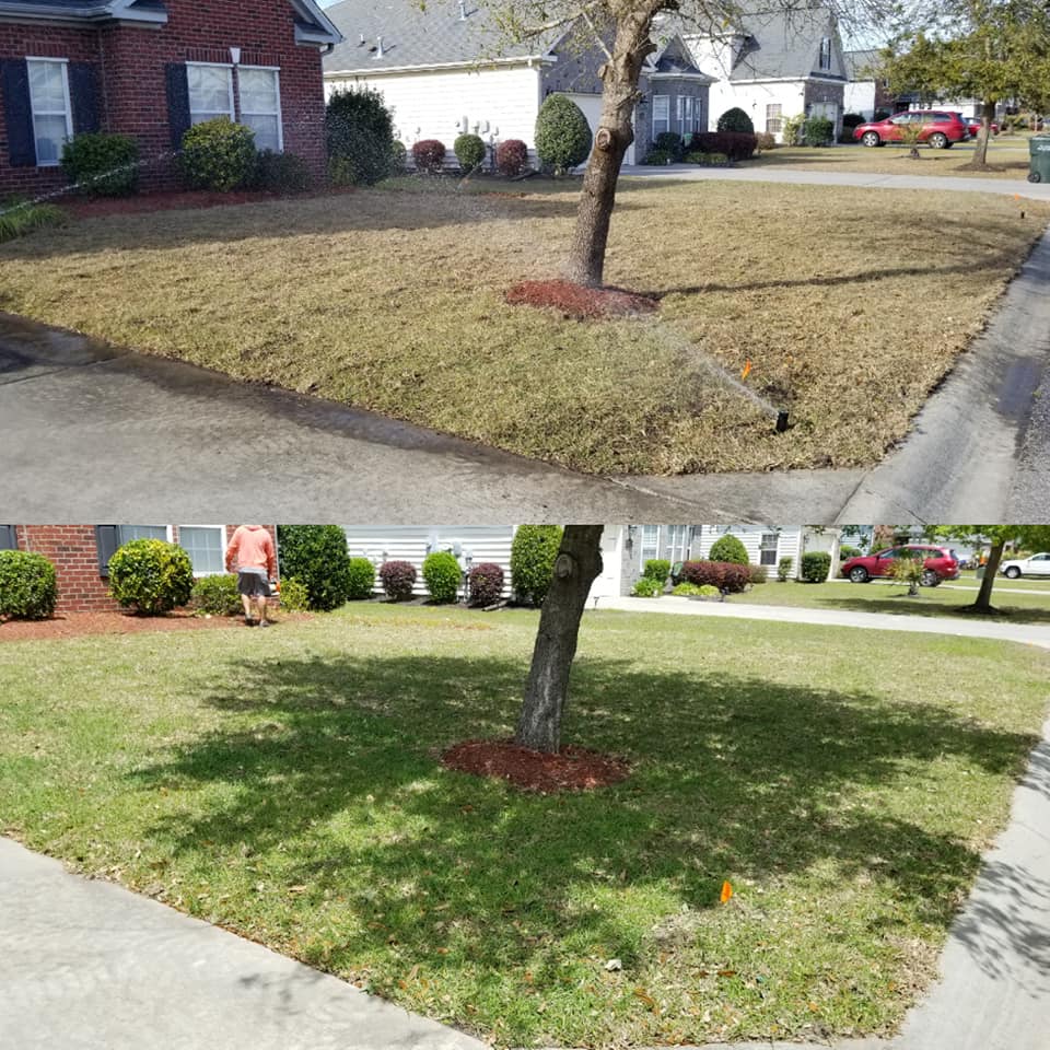 Remove old grass and install new sod in front yard