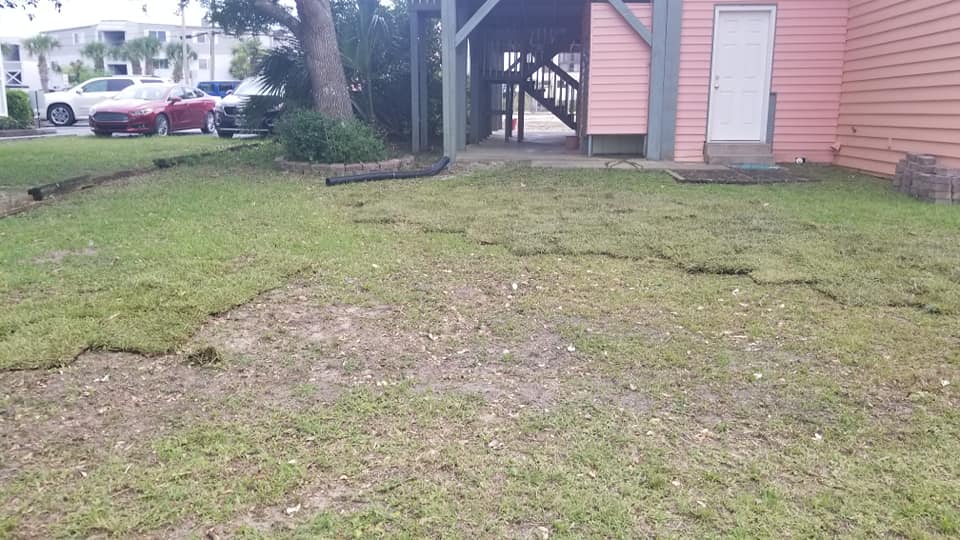 Placed sod at a clean up job in Cherry Grove, SC 29582