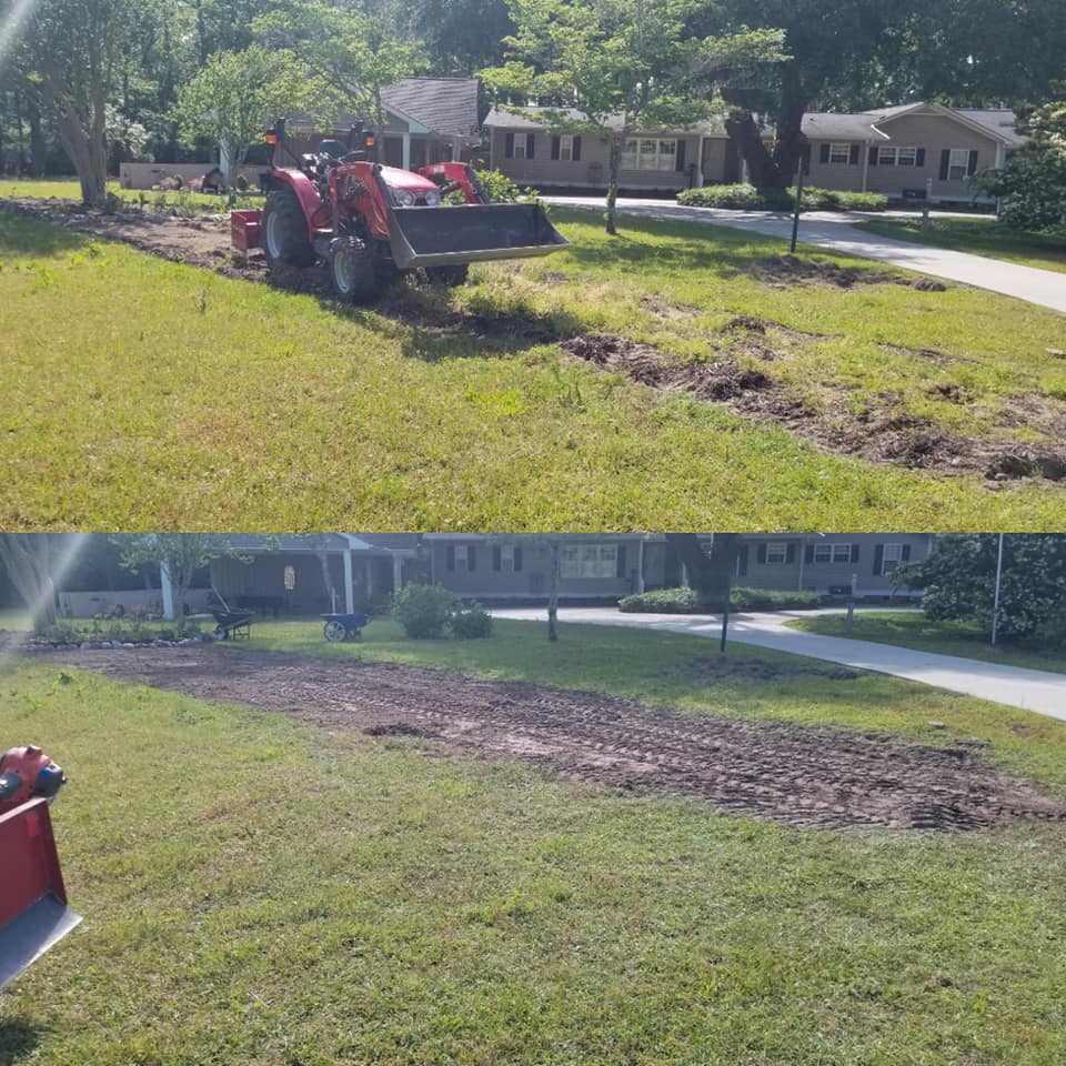 Longs, bush hog, removed trees, removed beds and prepped for sod