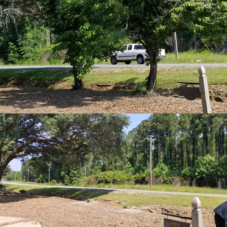 Longs, bush hog, removed trees, removed beds and prepped for sod