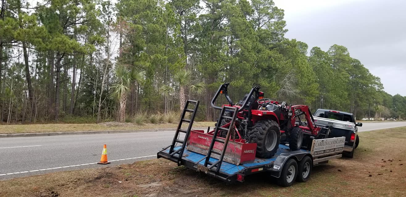 Carolina Forest, SC we removed 6 dead Palms