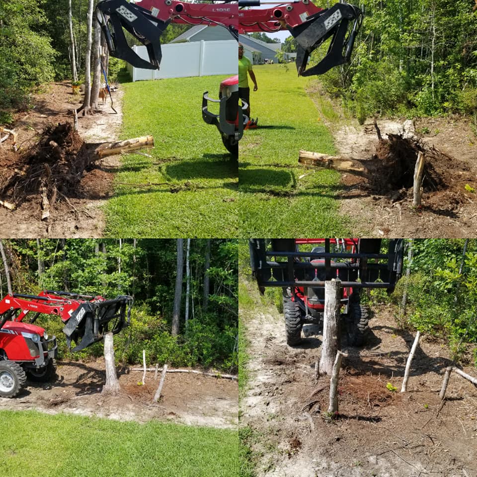 Remove stump in Longs,SC 29568