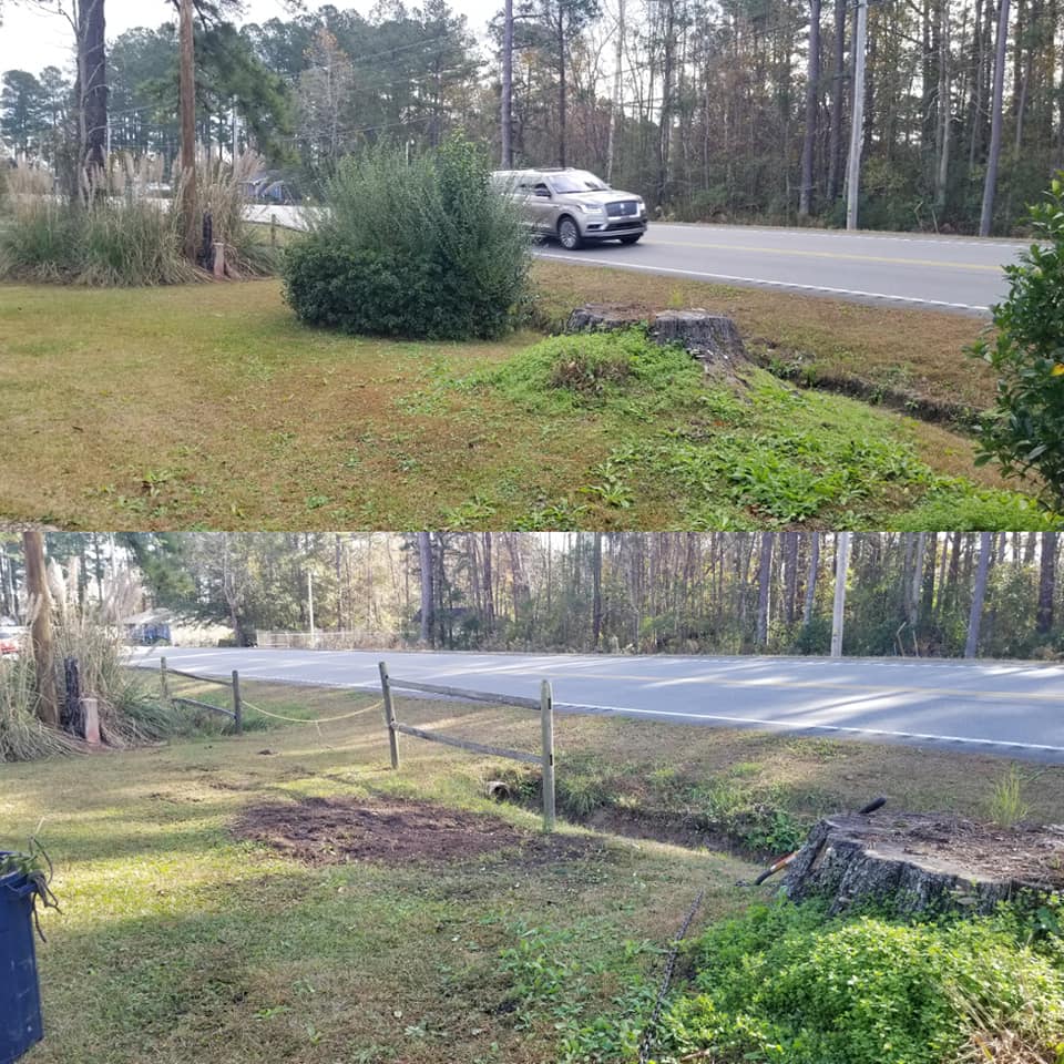 Remove shrubs in Longs,SC 29568