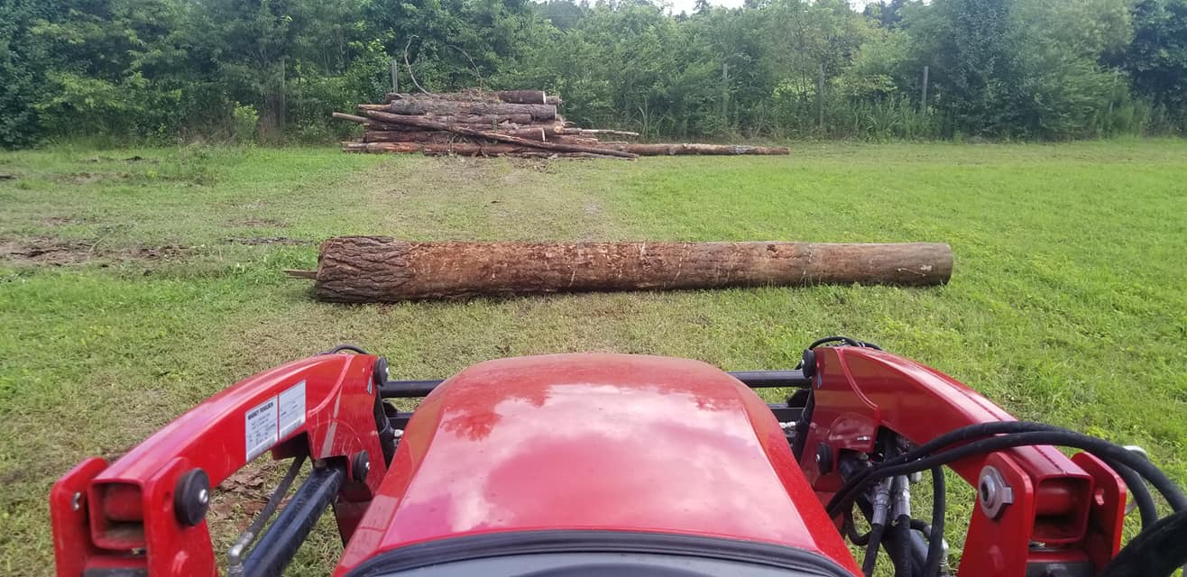 Longs, cut logs and move into piles and move debris