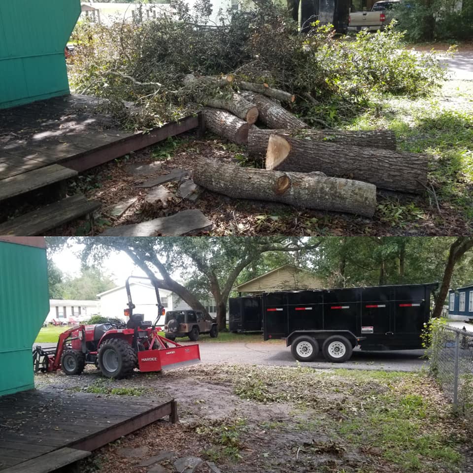 Cherry Grove, Load trees into trailer for haul off