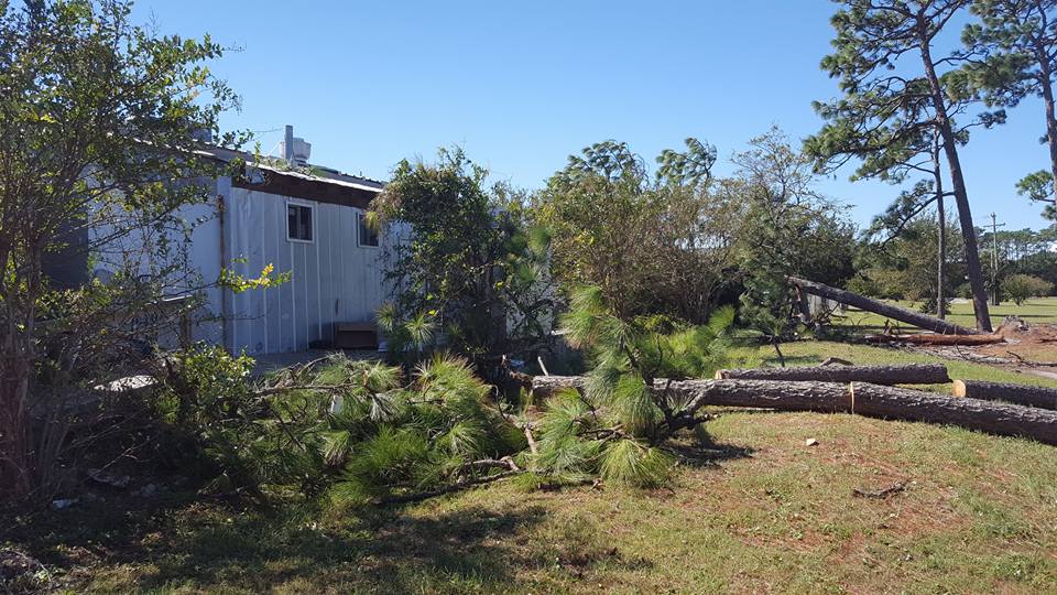 North Myrtle Beach, removed trees off Midtown Bistro from hurricane