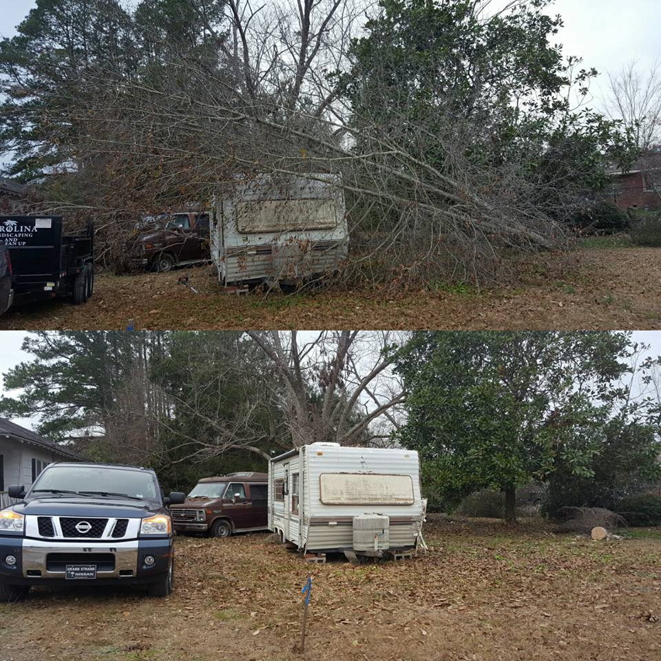 Longs, tree removal from hurricane