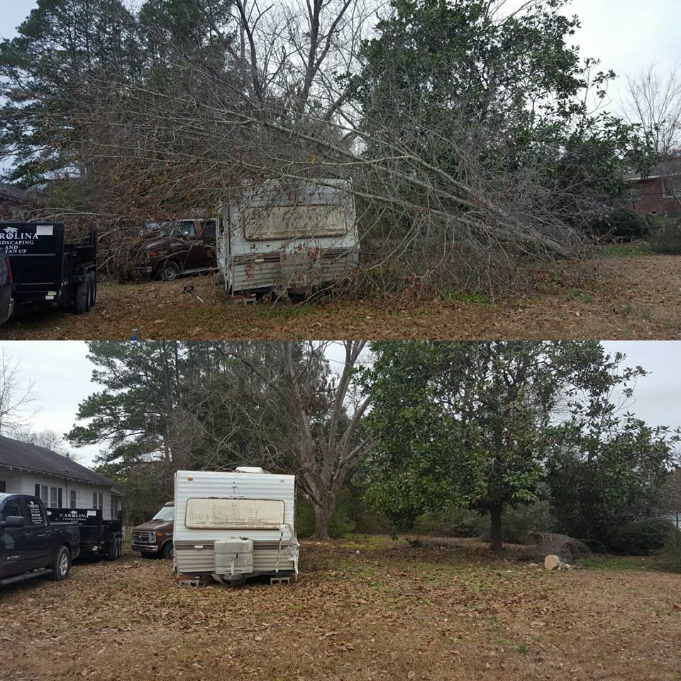 Longs, tree removal from hurricane