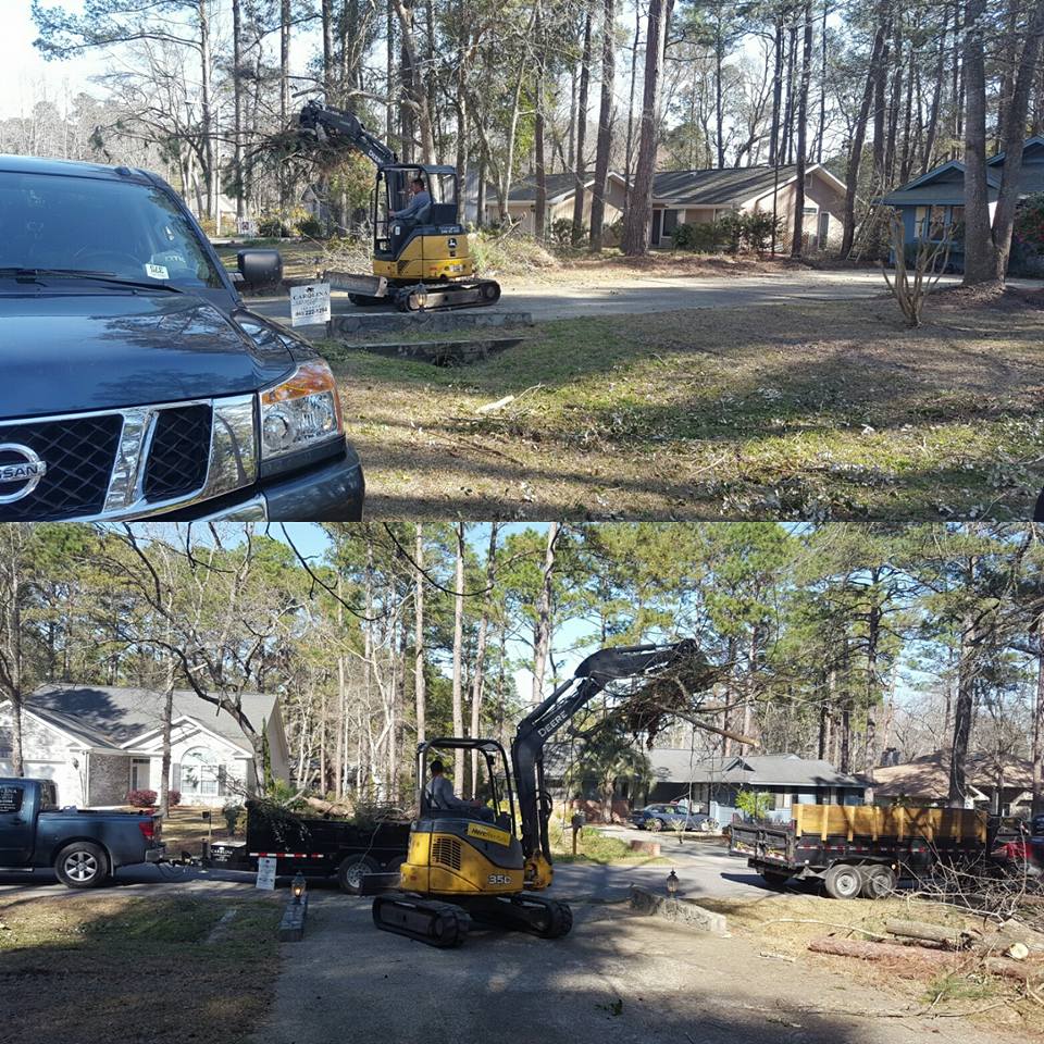 Calabash, tree and brush removal