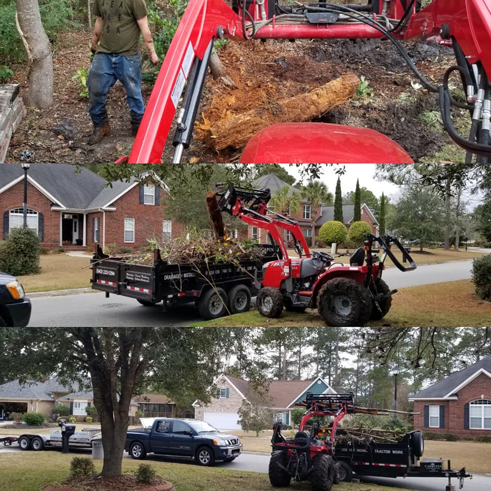Little River, stump grinding, tree removal, debris removal and haul off