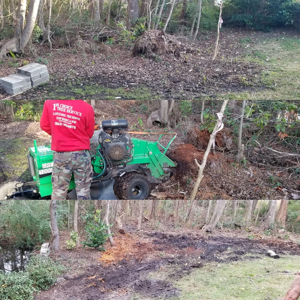 Little River, stump grinding, tree removal, debris removal and haul off