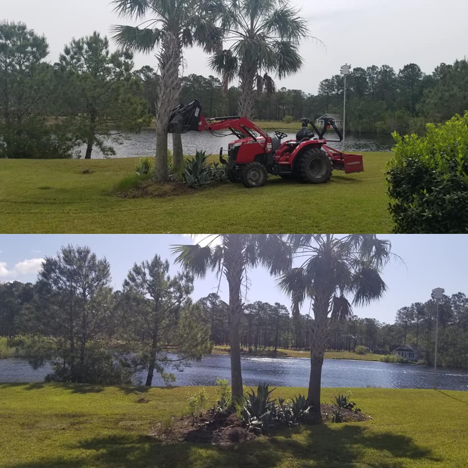 Palm tree removal and bush removal in Ocean Isle Beach, NC