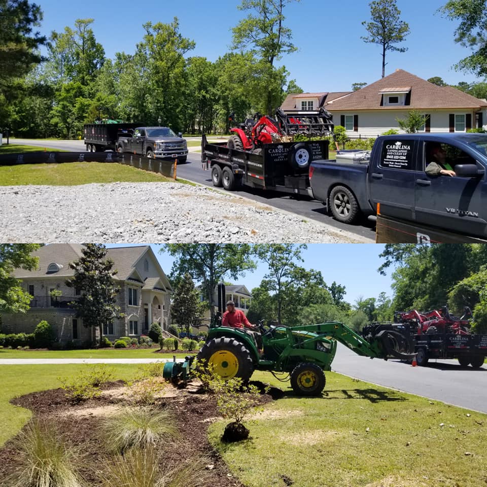 Tree removal in Dye Community Bare Foot Resort in North Myrtle Beach, SC 29582