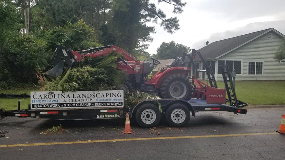 Remove Palm Trees, Crepe Myrtle and Shrubs in Litle River, SC 29566