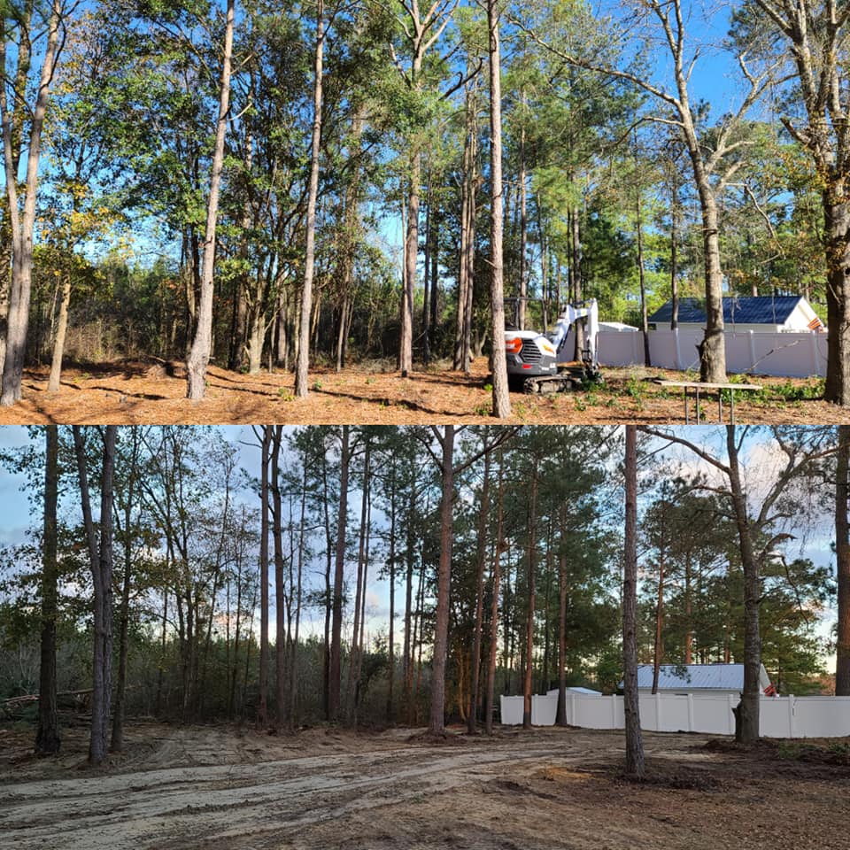 Removed root mat, small trees and graded the ground with more dirt in Loris,SC 29569