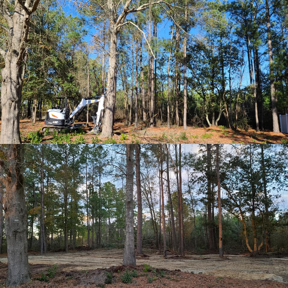 Removed root mat, small trees and graded the ground with more dirt in Loris,SC 29569