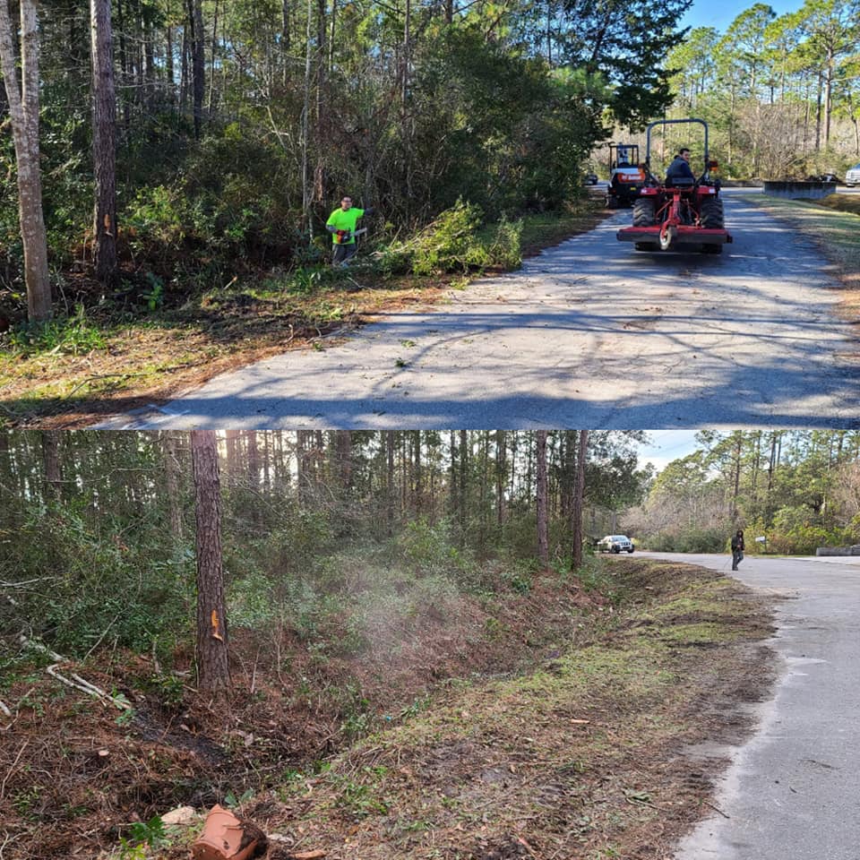 Remove trees, brush, and overgrowth out of ditch in Shallotte,NC