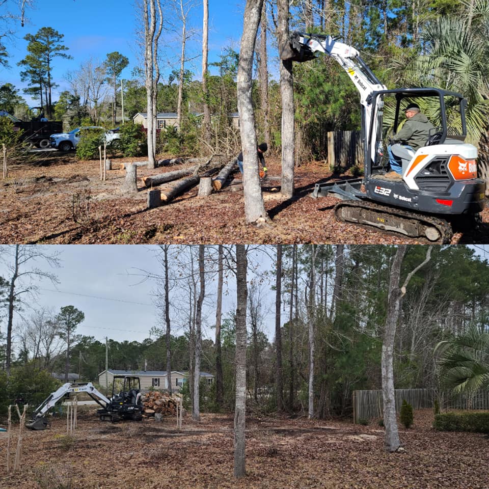 Remove trees Little River,SC 29566