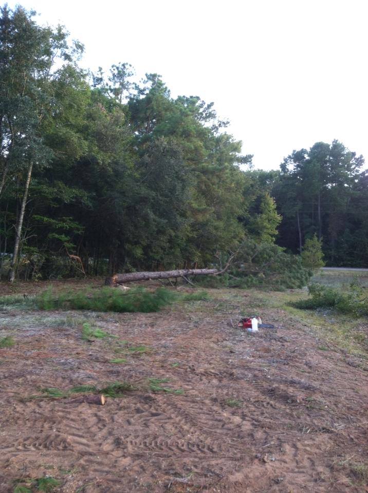 Conway, tree removal and site work for house and work shop