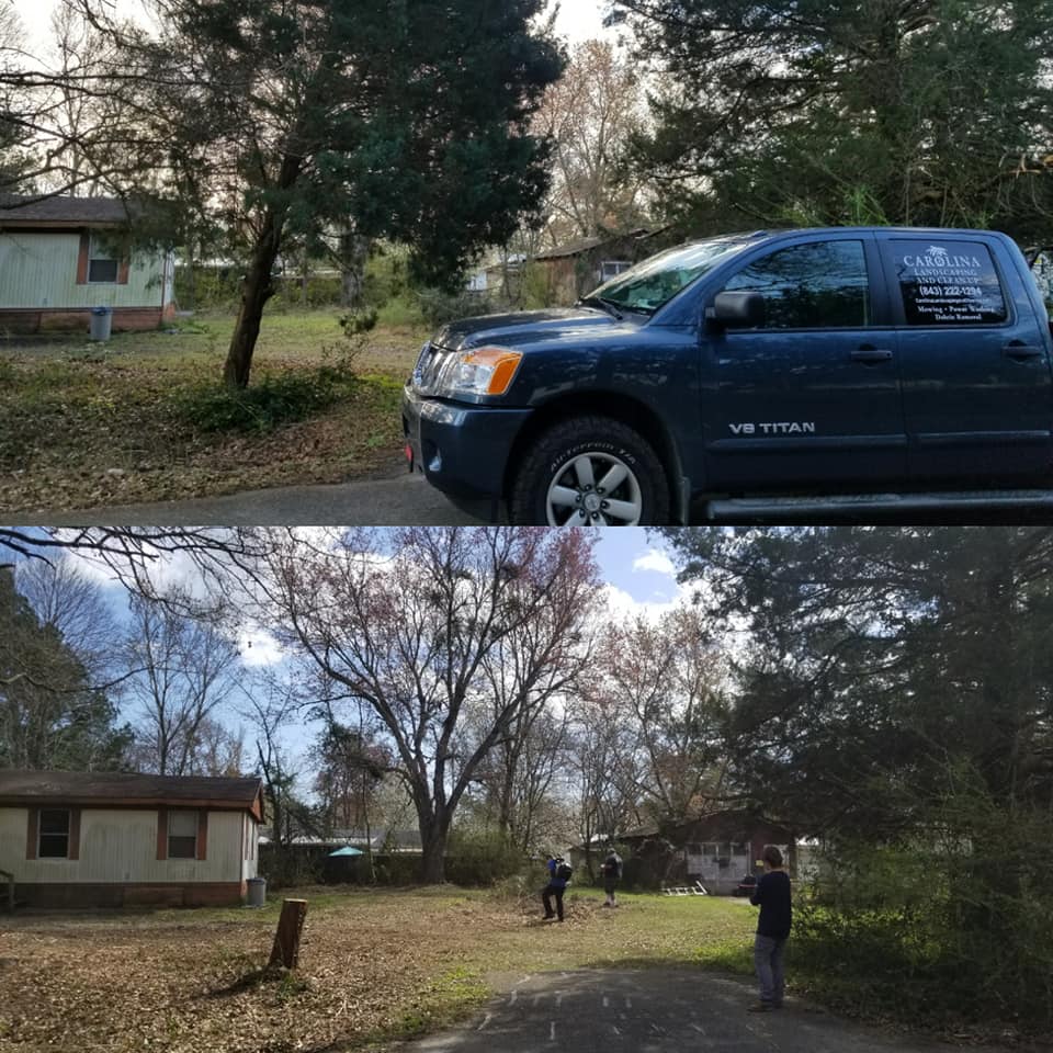 trimmed and removed trees in Little River,SC 29566