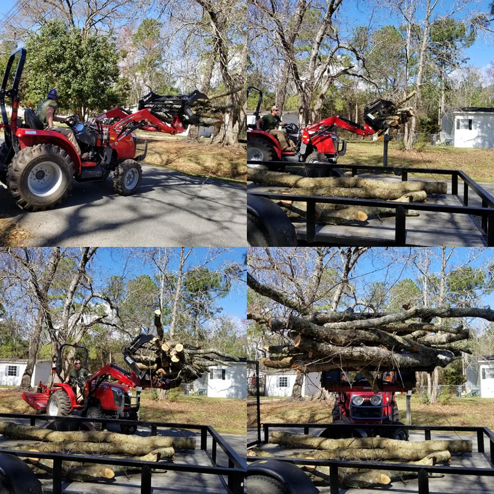 trimmed and removed trees in Little River,SC 29566