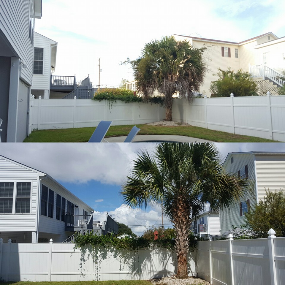 trimmed trees and shrubs and removed some in Cherry Grove,SC 29582